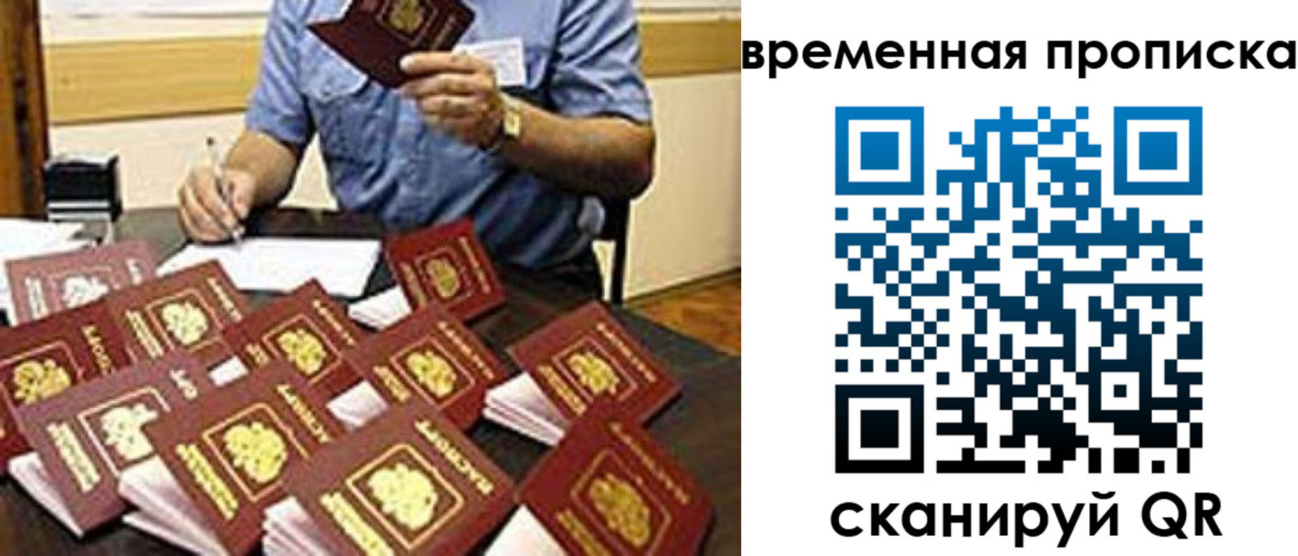 прописка для школы в Высоковске